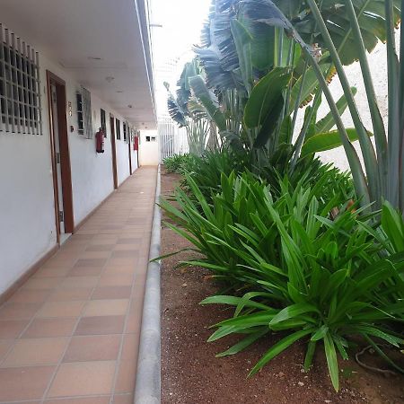 El Apartamento De Concha ซาน อากุสติน ภายนอก รูปภาพ