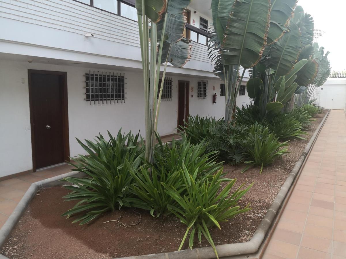 El Apartamento De Concha ซาน อากุสติน ภายนอก รูปภาพ